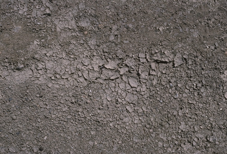干裂的泥土材质贴图