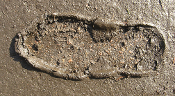潮湿的泥土路面贴图