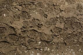 潮湿带有脚印的泥土路面