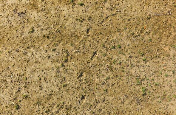 长草的黄色泥土路面贴图