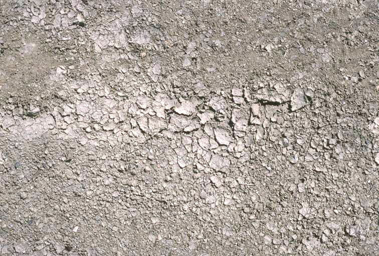 干燥开裂的泥土路面贴图