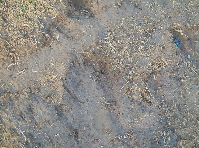 带枯草的泥土路面贴图