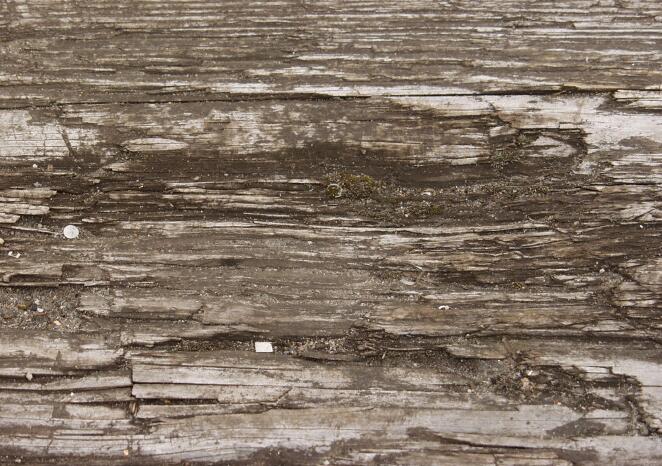 粗糙破旧的木头表面贴图
