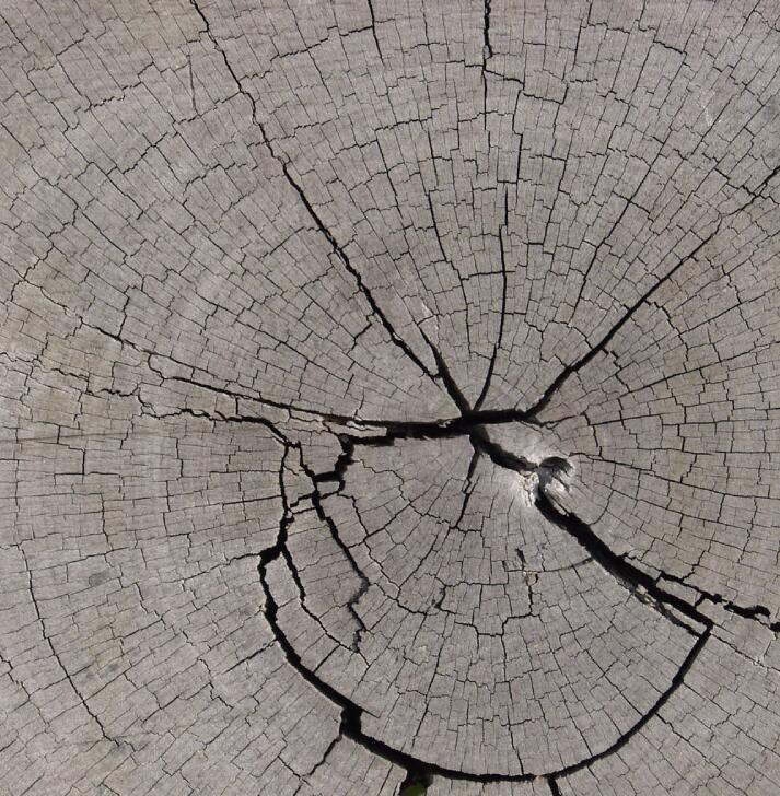 开裂的老木截面贴图