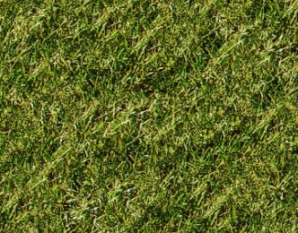 绿色偏黄的草地材质贴图