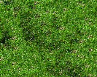 光滑的绿色草地材质贴图