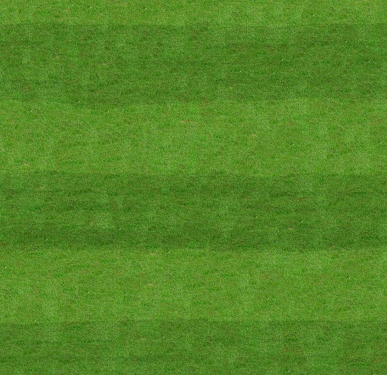 两张足球场草地材质贴图