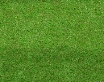 两张足球场草地材质贴图